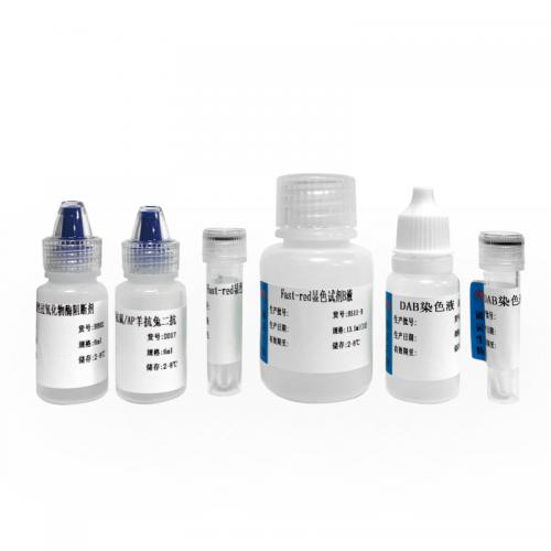 免疫顯色試劑（雙染）